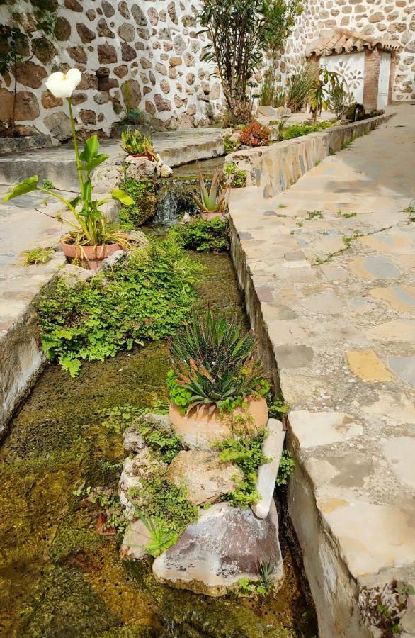 Villa El Patio del Limón Montecorto Exterior foto